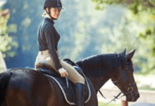 Masters of Equestrian Art: Celebrating Famous Dressage Riders