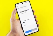 sapiosexual profiles and insights