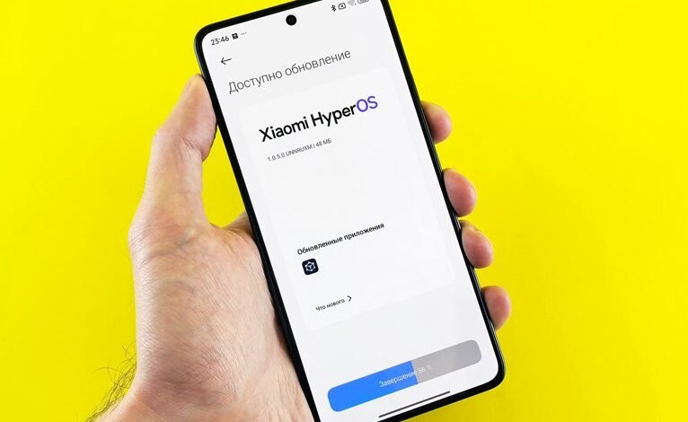 sapiosexual profiles and insights